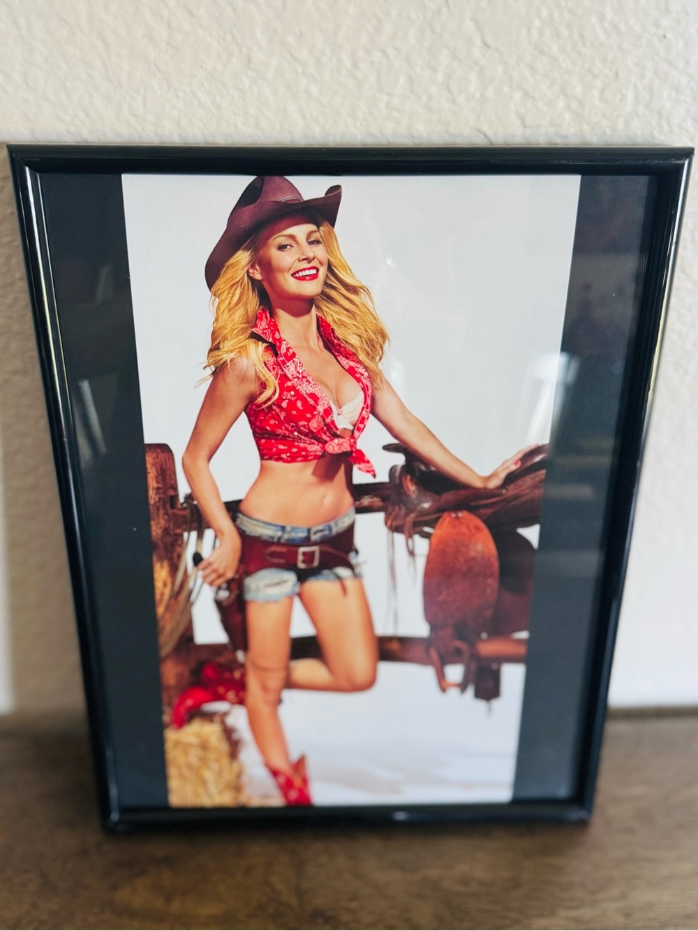 Vintage Sexy Cowgirl Western Framed Art